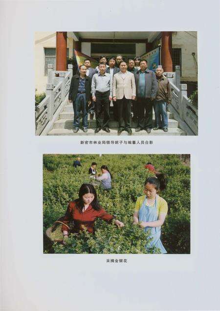 《郑州林业志新密卷（1978-2008）》.pdf电子版_河南省志预览图5