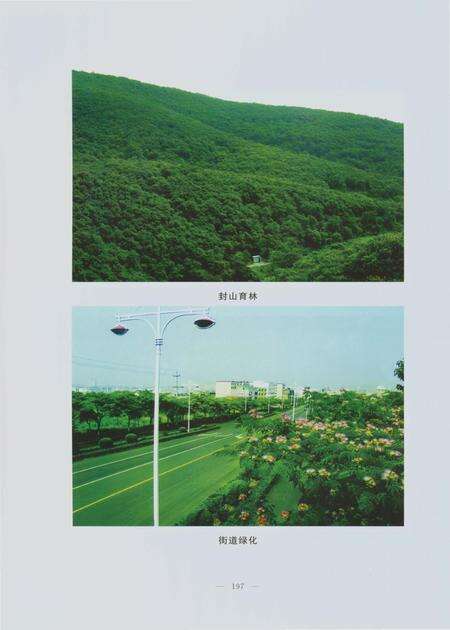 《郑州林业志登封卷（1978-2008）》.pdf电子版_河南省志预览图5