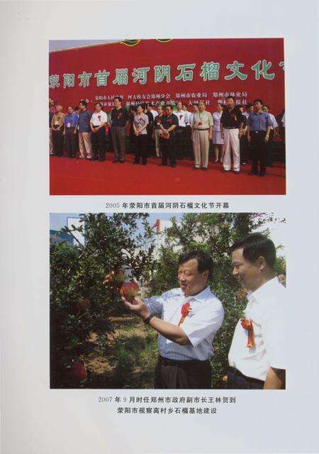 《郑州林业志荥阳卷（1978-2008）》.pdf电子版_河南省志预览图5