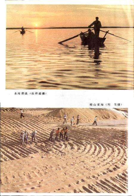 《嫩江农垦志》.pdf电子版_黑龙江省志预览图4