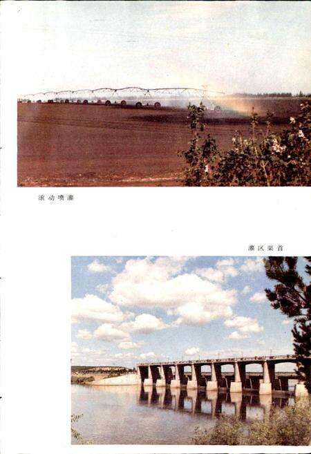 《嫩江农垦志》.pdf电子版_黑龙江省志预览图5