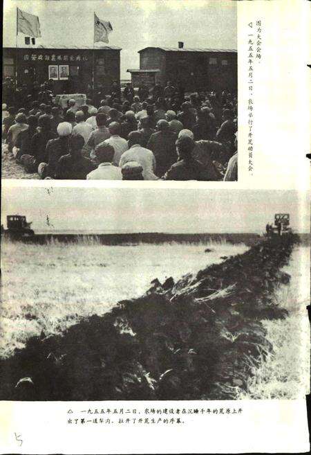 《友谊农场史》.pdf电子版_黑龙江省志预览图5