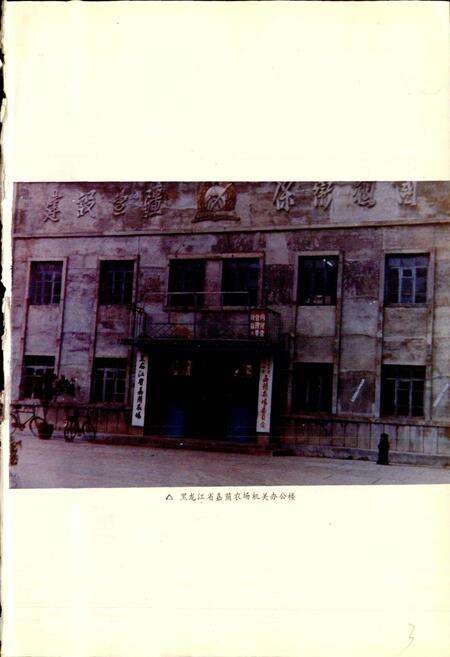 《嘉荫农场志》.pdf电子版_黑龙江省志预览图4