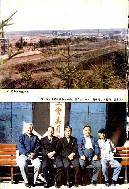 《嘉荫农场志》.pdf电子版_黑龙江省志预览图5