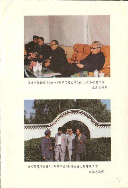 《曙光农场史》.pdf电子版_黑龙江省志预览图4