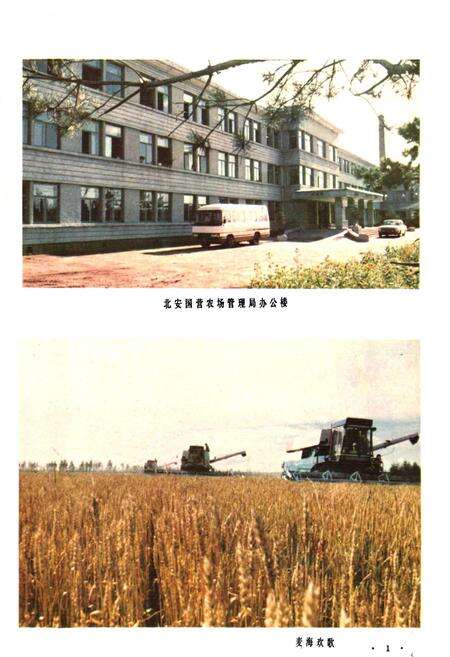 《北安农垦志》.pdf电子版_黑龙江省志预览图5