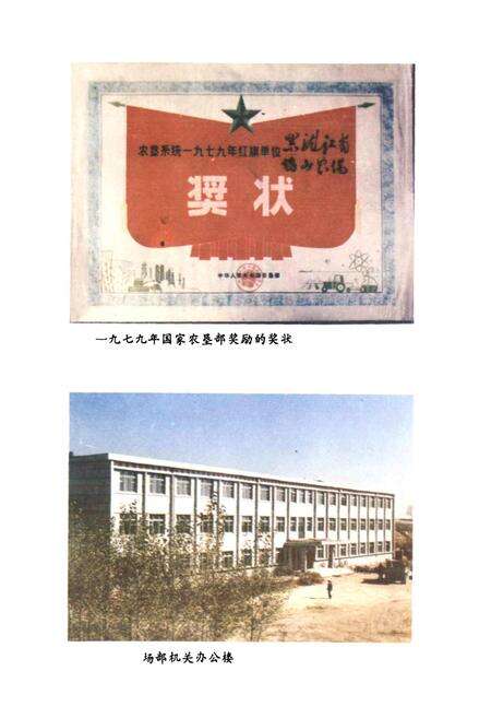 《鹤山农场史》.pdf电子版_黑龙江省志预览图3