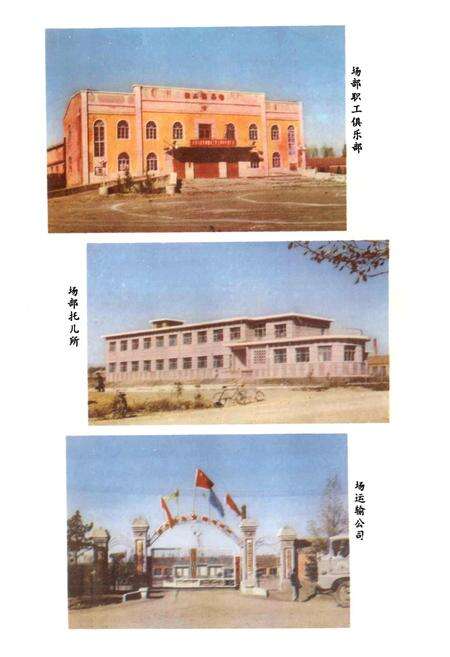 《鹤山农场史》.pdf电子版_黑龙江省志预览图4