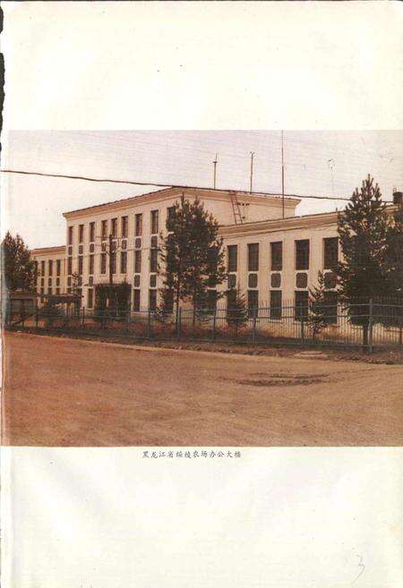 《绥棱农场志》.pdf电子版_黑龙江省志预览图4