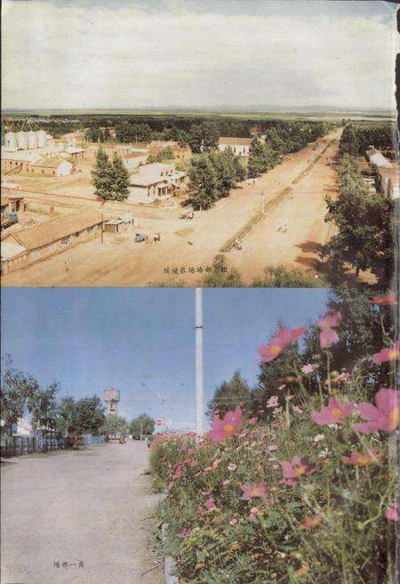 《绥棱农场志》.pdf电子版_黑龙江省志预览图5