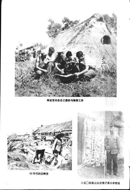 《云山农场史》.pdf电子版_黑龙江省志预览图4