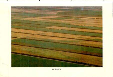 《军川农场史 第一卷》.pdf电子版_黑龙江省志预览图3