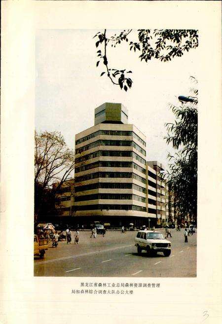 《森林资源管理志》.pdf电子版_黑龙江省志预览图3