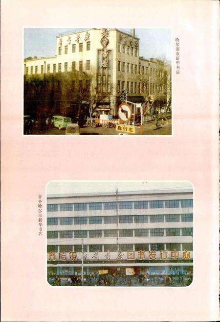 《黑龙江图书发行志》.pdf电子版_黑龙江省志预览图4