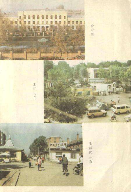 《国营香坊木材综合加工厂厂志》.pdf电子版_黑龙江省志预览图5