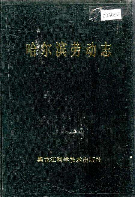 《哈尔滨劳动志》.pdf电子版_黑龙江省志缩略图