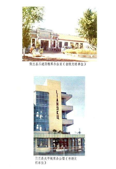 《依兰县粮食志》.pdf电子版_黑龙江省志预览图5