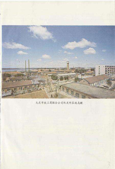《大庆市牧工商联合公司志》.pdf电子版_黑龙江省志预览图3