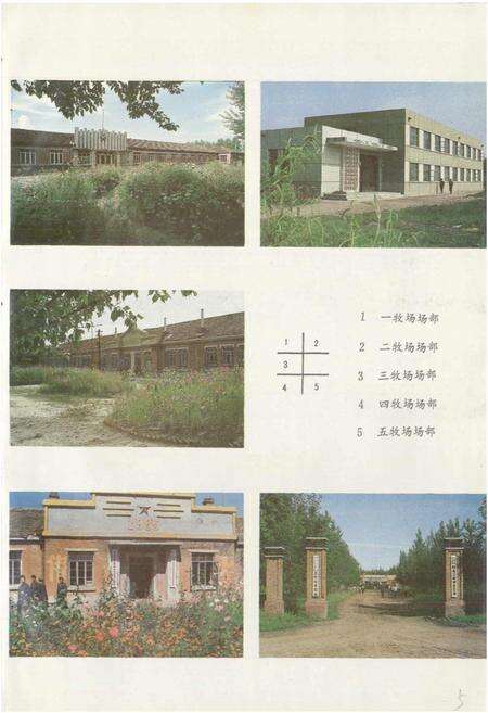 《大庆市牧工商联合公司志》.pdf电子版_黑龙江省志预览图5