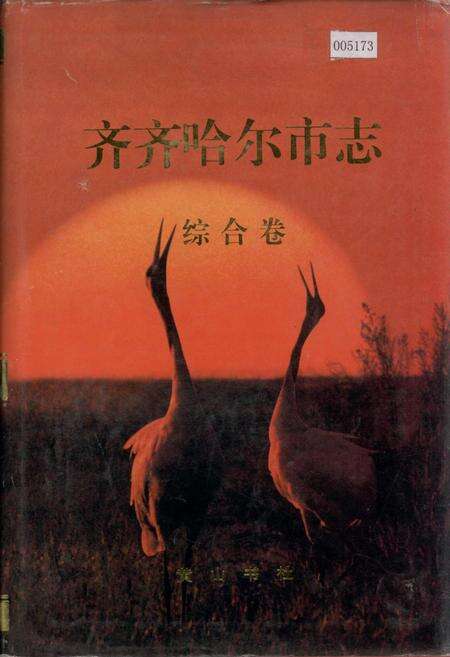 《齐齐哈尔市志 1 综合卷》.pdf电子版_黑龙江省志缩略图