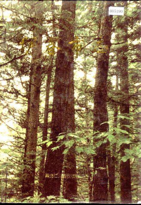 《伊春市志 下卷》.pdf电子版_黑龙江省志缩略图