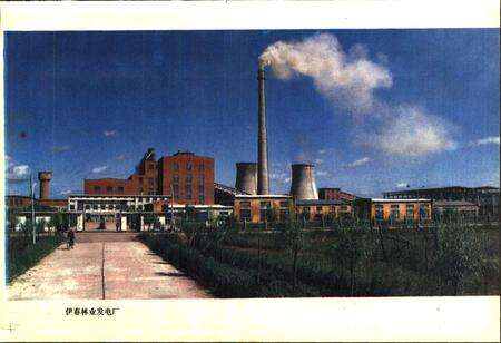 《伊春林业发电厂志》.pdf电子版_黑龙江省志预览图4