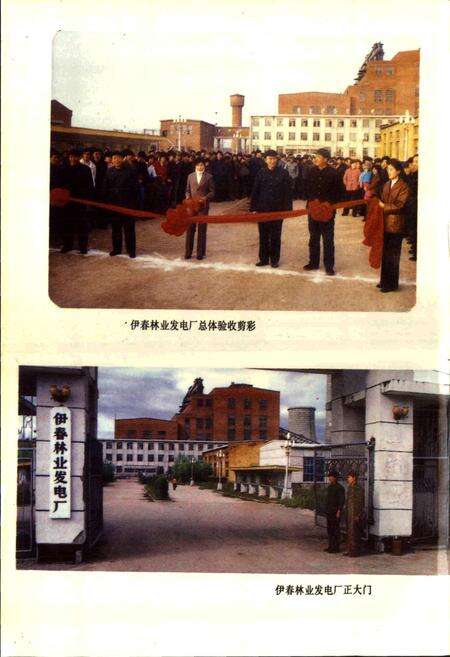 《伊春林业发电厂志》.pdf电子版_黑龙江省志预览图5