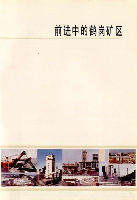 《鹤岗矿务局志》.pdf电子版_黑龙江省志预览图2