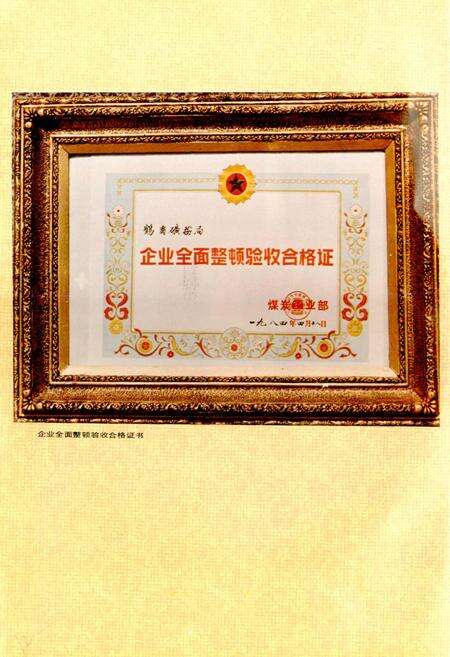 《鹤岗矿务局志》.pdf电子版_黑龙江省志预览图5