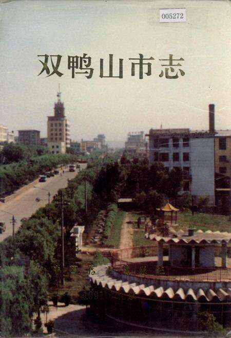 《双鸭山市志》.pdf电子版_黑龙江省志缩略图