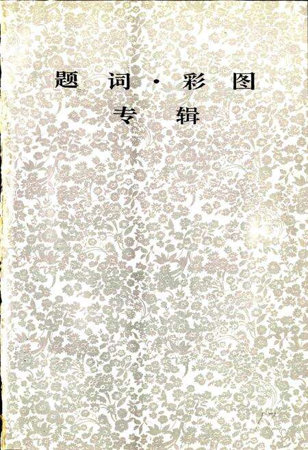 《双鸭山矿务局志 第一卷》.pdf电子版_黑龙江省志预览图3
