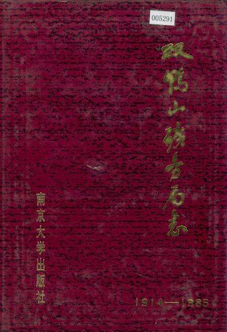 《双鸭山矿务局志 第三卷》.pdf电子版_黑龙江省志缩略图
