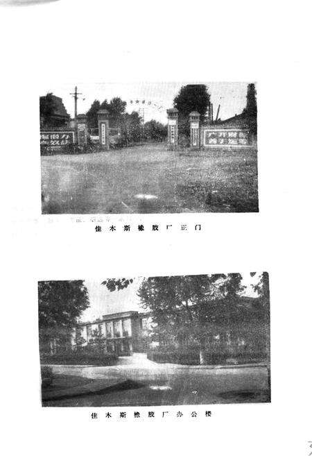 《佳木斯橡胶厂志》.pdf电子版_黑龙江省志预览图3