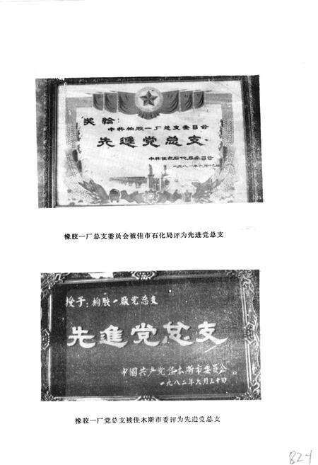 《佳木斯橡胶厂志》.pdf电子版_黑龙江省志预览图5