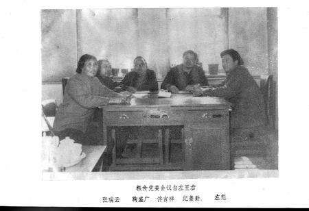 《安达粮食志》.pdf电子版_黑龙江省志预览图5