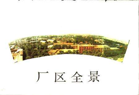 《国营牡丹江木材综合加工厂厂志》.pdf电子版_黑龙江省志预览图5