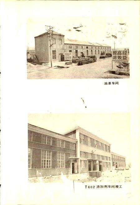 《牡丹江油漆化工厂厂志》.pdf电子版_黑龙江省志预览图2