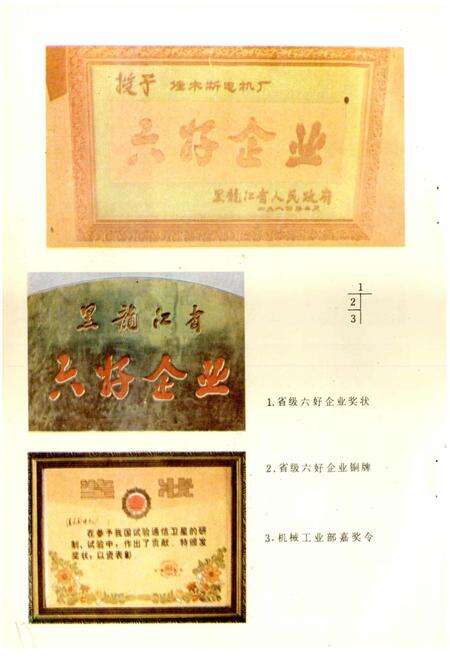 《佳木斯电机厂志 第一卷》.pdf电子版_黑龙江省志预览图5