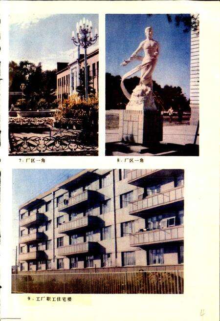 《黑龙江省友谊糖厂厂志 第一卷》.pdf电子版_黑龙江省志预览图5