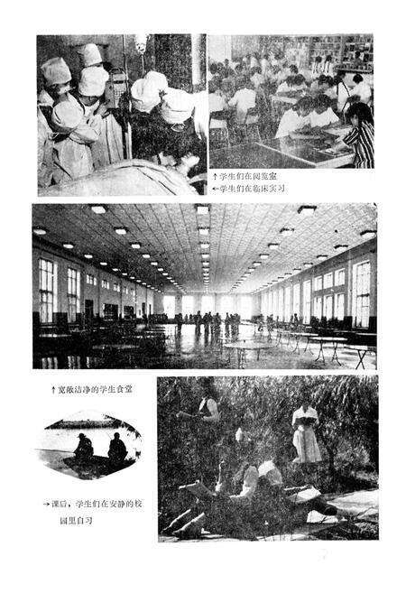 《鸡西煤炭卫生学校校志》.pdf电子版_黑龙江省志预览图4