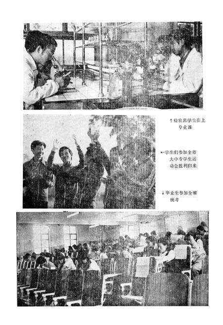 《鸡西煤炭卫生学校校志》.pdf电子版_黑龙江省志预览图5