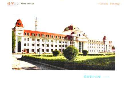 《漠河县志(1991-2005)》.pdf电子版_黑龙江省志预览图4