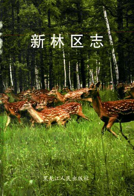 《新林区志》.pdf电子版_黑龙江省志预览图1