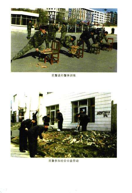 《绥化市公安志(1991-2000)》.pdf电子版_黑龙江省志预览图5