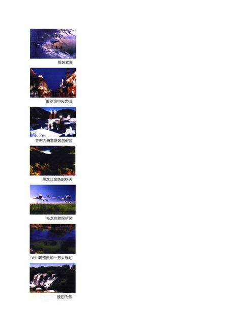 《黑龙江统计表(1986-2005)》.pdf电子版_黑龙江省志预览图4