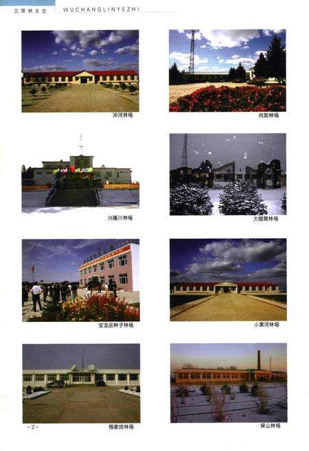 《五常林业志》.pdf电子版_黑龙江省志预览图5