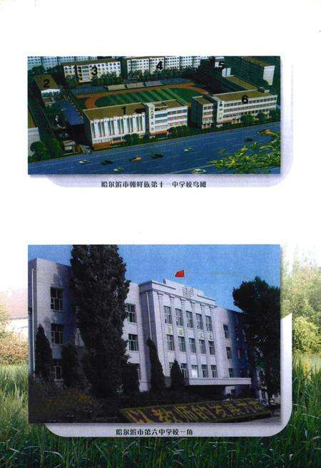《香坊区教育志(1991-2005)》.pdf电子版_黑龙江省志预览图4