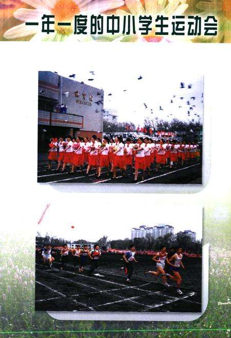 《香坊区教育志(1991-2005)》.pdf电子版_黑龙江省志预览图5