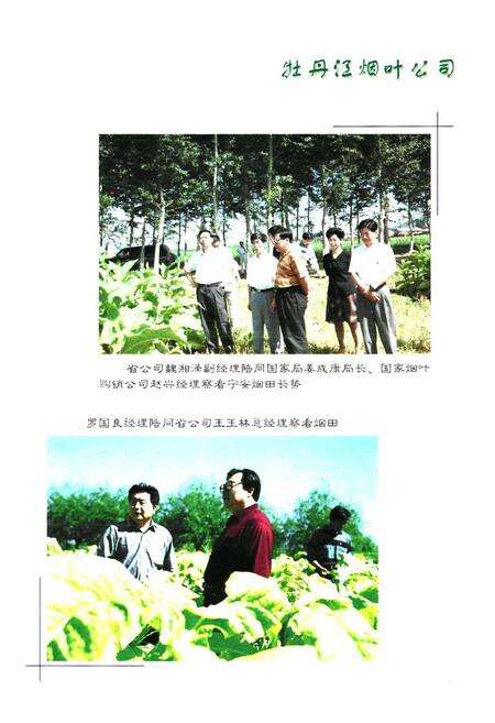 《牧丹江烟叶公司志》.pdf电子版_黑龙江省志预览图3