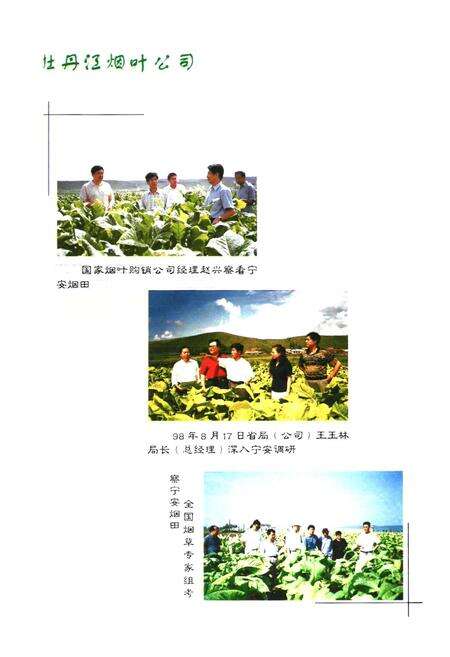 《牧丹江烟叶公司志》.pdf电子版_黑龙江省志预览图4